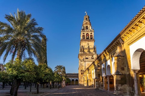 Orange Courtyard and Bell Tower of the Mezquita