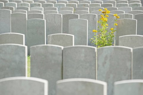Headstones at military cemetery of the Commonwealth War Graves Commission burial ground for First World War One British soldiers