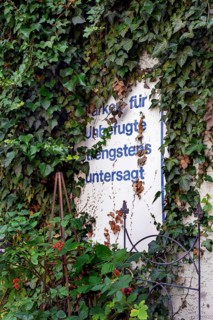 Sign -Parking for unauthorised strictly prohibited- surrounded with ivy