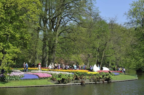 Tourists walking among colourful tulips