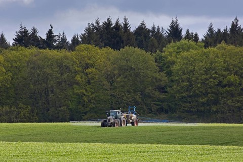 Farmer spraying pesticides
