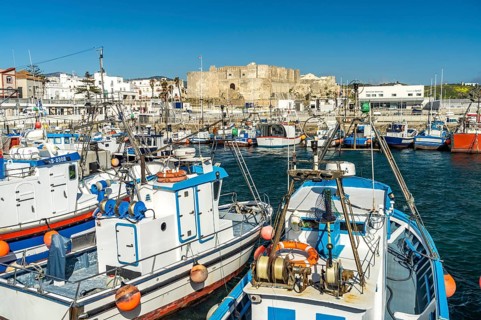 Port and the castle Castillo de Guzman in Tarifa