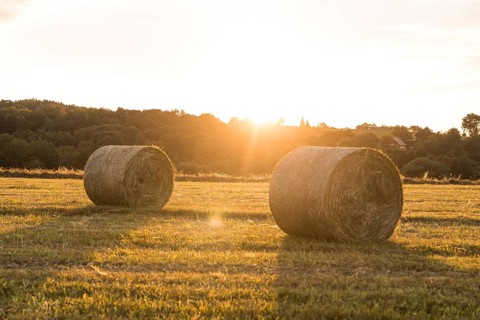 Beautiful landscape with rolls hays sunset