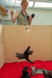 Woman makes nine-week-old kitten jump
