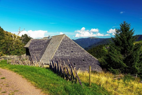 Schniederlihof Farm Museum