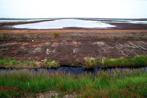Peat extraction