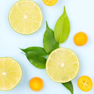 Top view organic lime slices table