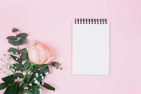Blank spiral notepad with rose gypsophila flower against pink background