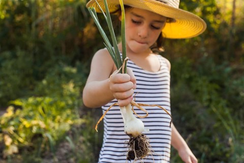 Portrait girl holding harvested spring onion