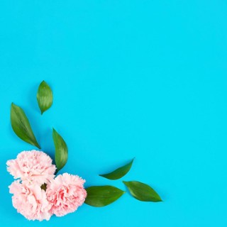 Flower heads with leafs corner