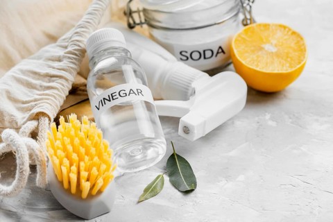 High angle eco friendly cleaning brushes with vinegar lemon