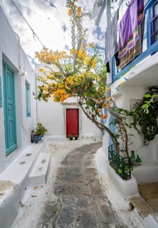 White Cycladic houses with colourful shutters and doors and yellow bougainvillea
