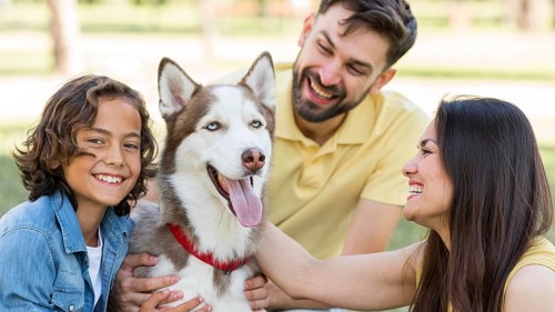 Happy boy posing park with dog parents