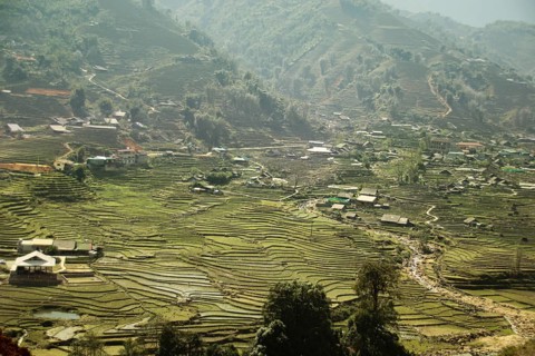 Aerial view fog over the terraced rice paddy and mountains in the village of Lao Cai in Sa pa Vietnam