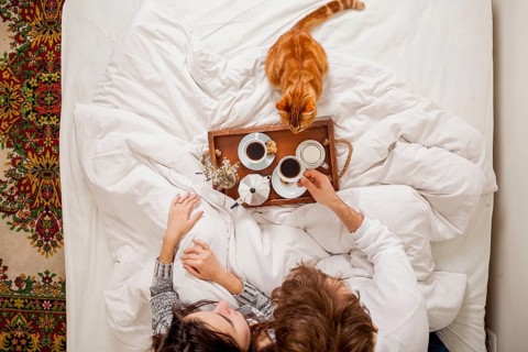 Breakfast bed