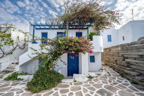 White Cycladic houses with pink bougainvillea
