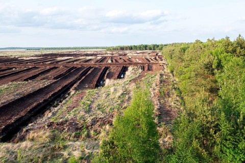 Peat extraction