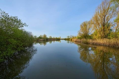 Lake