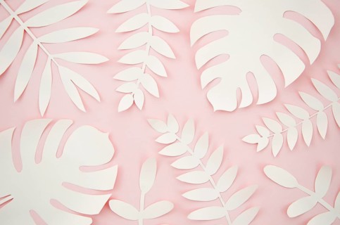 Artificial leaves paper cut style with pink background