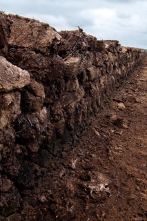 Peat cutting