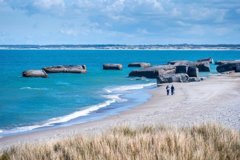 Bunkers on the beach