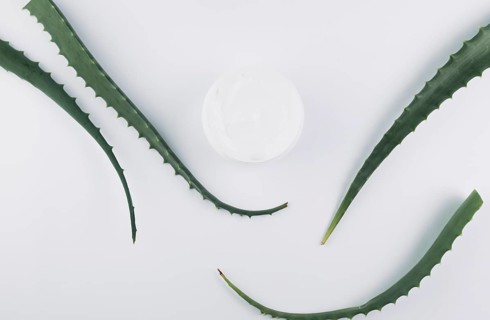 Top view aloe vera with beauty tools cosmetics