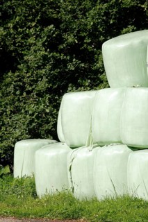 Grass silage packed with green plastic sheeting