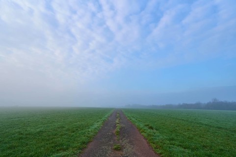 Field path