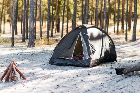 Campfire tent nature