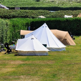 Tents in a meadow
