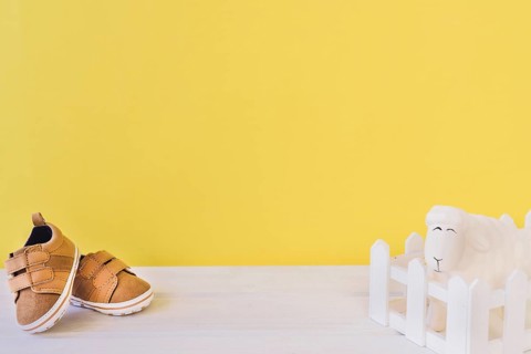 Newborn concept with shoes funny sheep