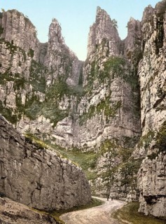 Cheddar Gorge