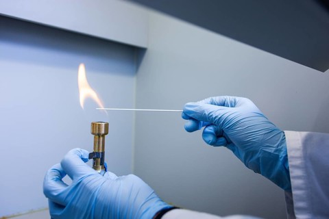 A person holds a stick over a flame of a Bunsen burner