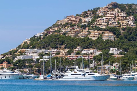 Yachts in the marina