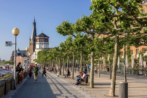 Rhine promenade