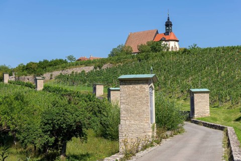 Pilgrimage church Maria im Weingarten
