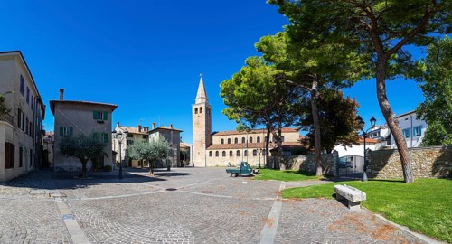 Olive trees at Campo Patriarca Elia with Basilica Sant Eufemia