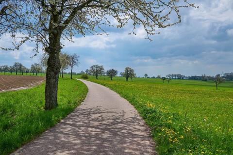 Field path