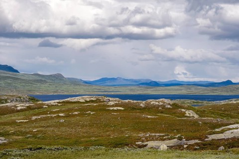 Tundra landscape with lake