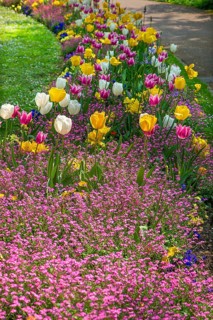 Flowerbeds in bloom in the municipal park of Lahr