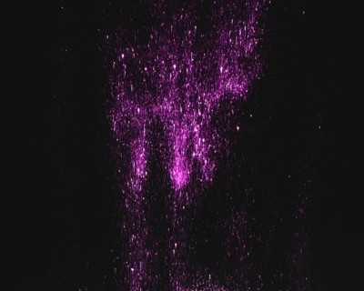 Purple sequins dark background