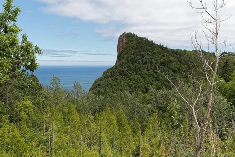 Landscape