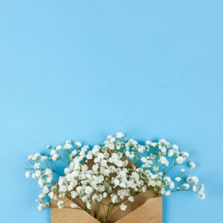 High angle view white baby s breath flowers with brown envelop against blue background
