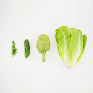 Lettuce artichoke cucumber parsley