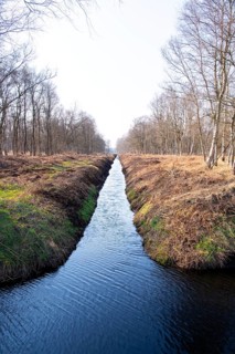 Peat cutting