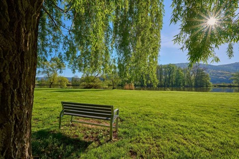 Bench
