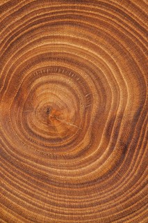 Top view wood background