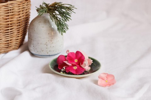 Dainty periwinkle flowers on a plate in bright white background