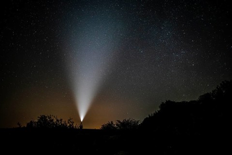 Man with flashlight enjoys beauty nature