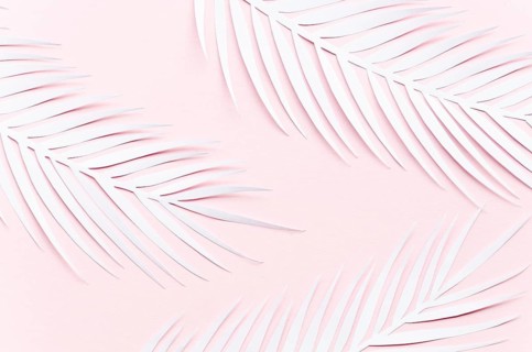 Three paper palm leaves pink table